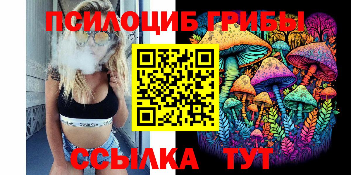 Богородск  Псилоцибиновые грибы Magic Shrooms  магазин    Вход с VPN 